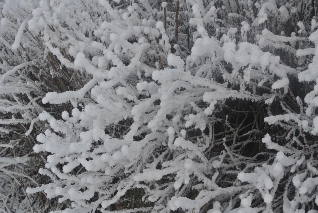 résidence Le Platé Les Carroz d'Arâches Exterior foto