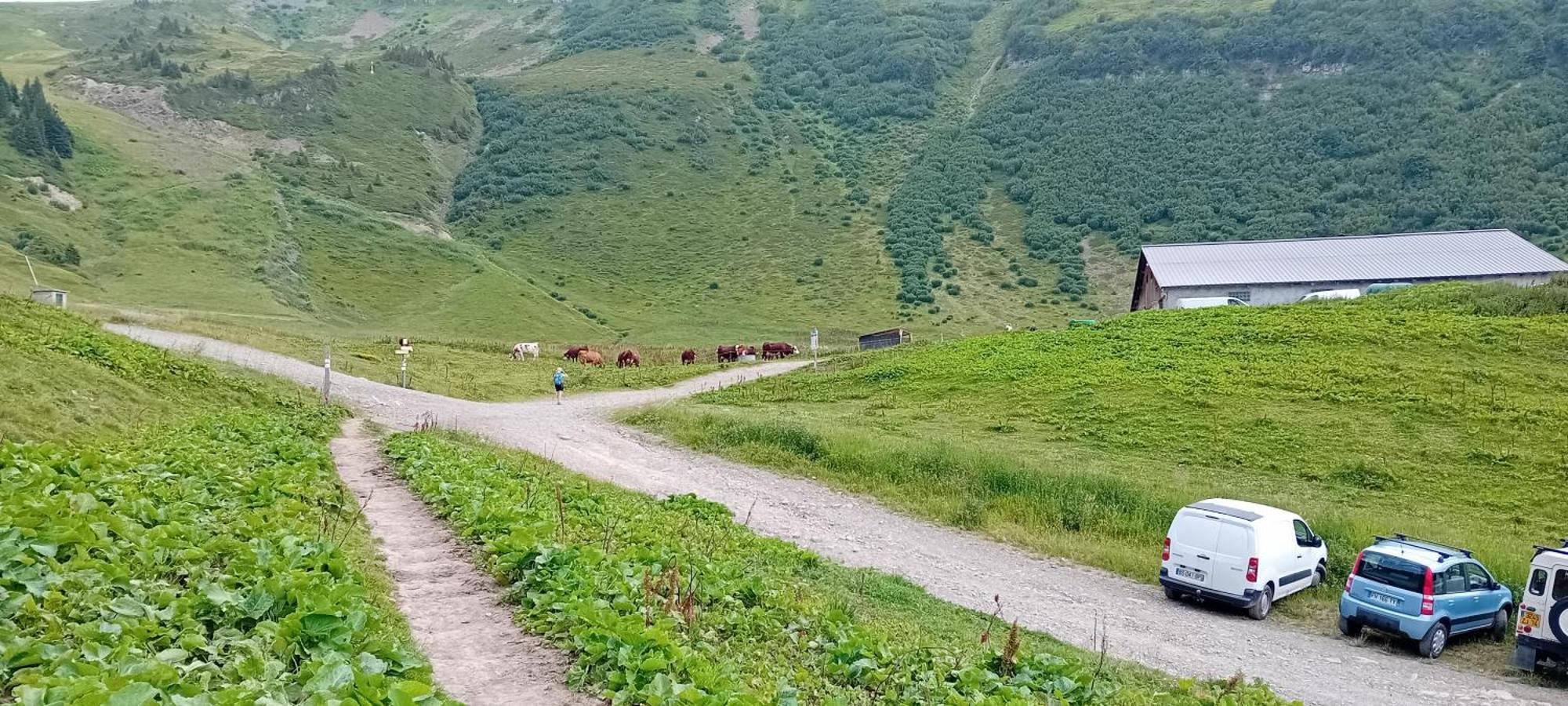 résidence Le Platé Les Carroz d'Arâches Exterior foto